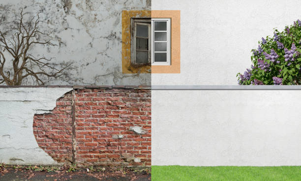 Best Mold Documentation for Insurance Claims  in Clanton, AL